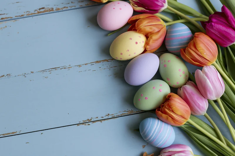 Colorful easter eggs and fresh tulips arranged along the edge of a weathered blue wooden surface