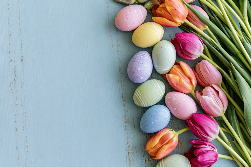 Colorful easter eggs and fresh tulips arranged along the edge of a light blue wooden surface with copyspace