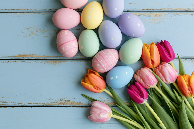 Colorful easter eggs and fresh tulips arranged along a blue wooden surface with copyspace