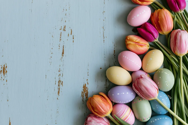 Colorful easter eggs and fresh tulips arranged along the edge of a distressed blue wooden surface