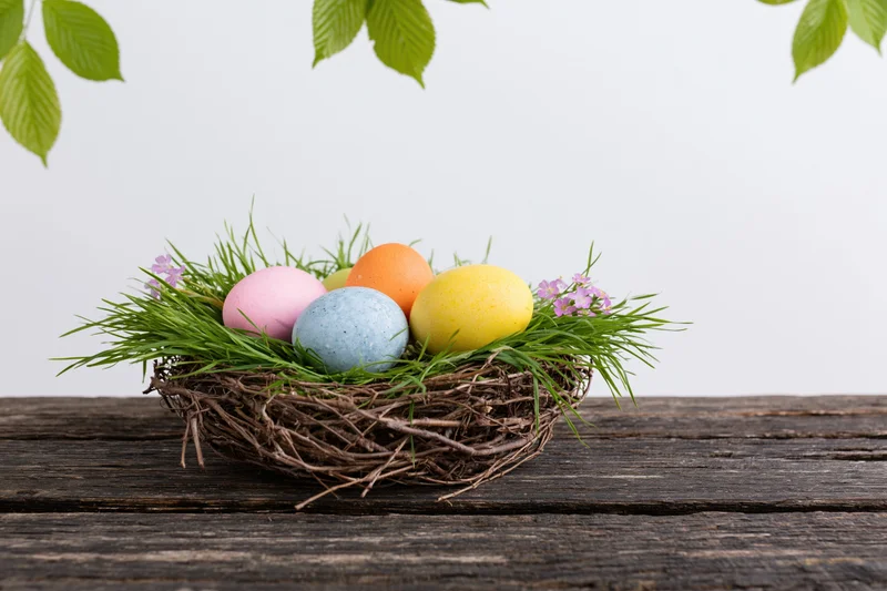 Colorful painted easter eggs in a twig nest with grass and flowers on a wooden table