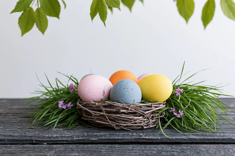 Colorful painted Easter eggs resting in a twig nest on a wooden table surrounded by green grass and purple flowers