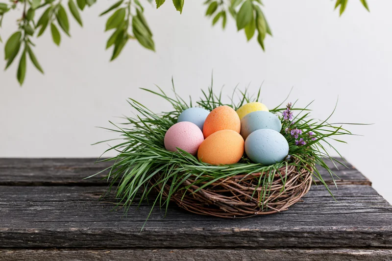 Colorful painted easter eggs in a twig nest with grass and flowers on a wooden table