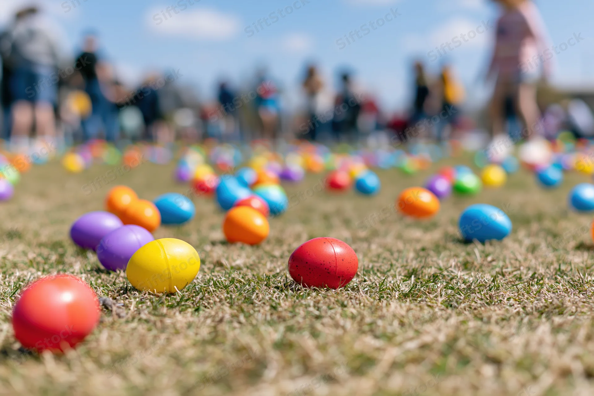 Colorful plastic easter eggs scattered across a mowed grass lawn outdoors during a spring holiday event