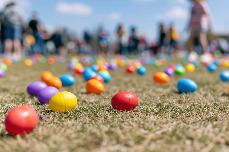 Colorful plastic easter eggs scattered across a mowed grass lawn outdoors during a spring holiday event