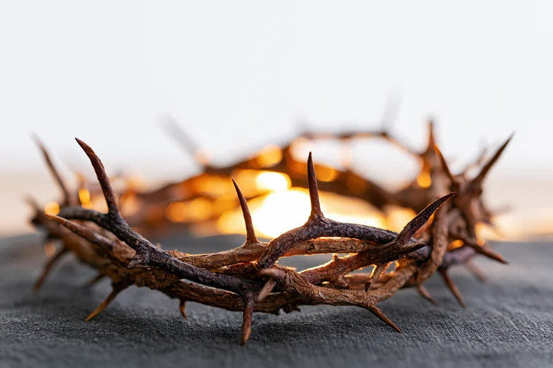 Crown of thorns resting on dark cloth surface close-up with warm bokeh background
