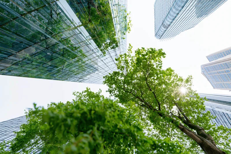 Green tree growing between modern glass office towers in urban cityscape