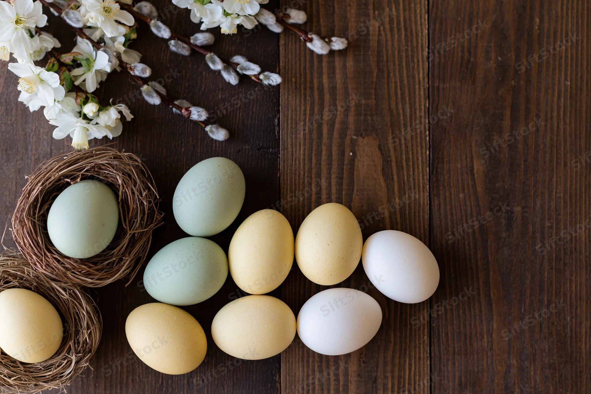 Easter eggs in pale green yellow and white arranged on dark wooden surface with nests and blossoming branches