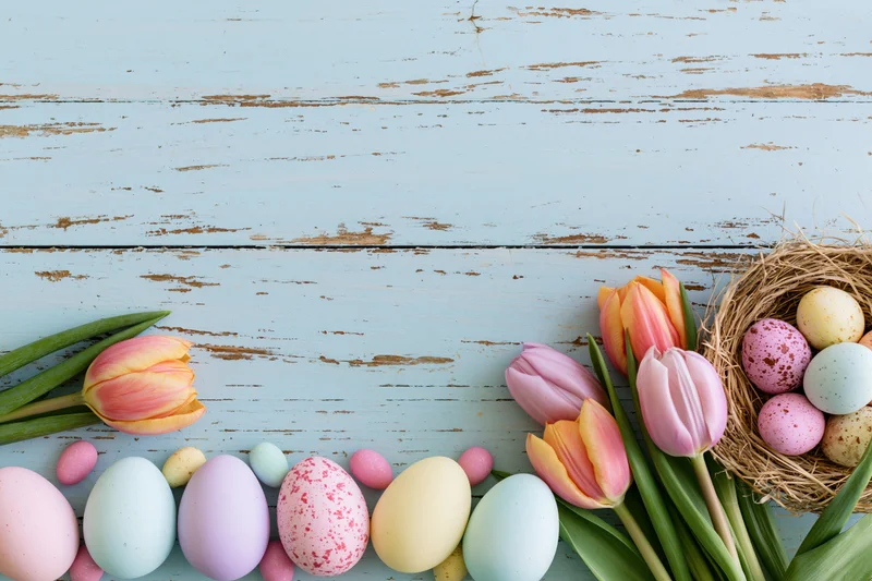 Pastel easter eggs and tulips arranged on a rustic blue wooden surface with copyspace