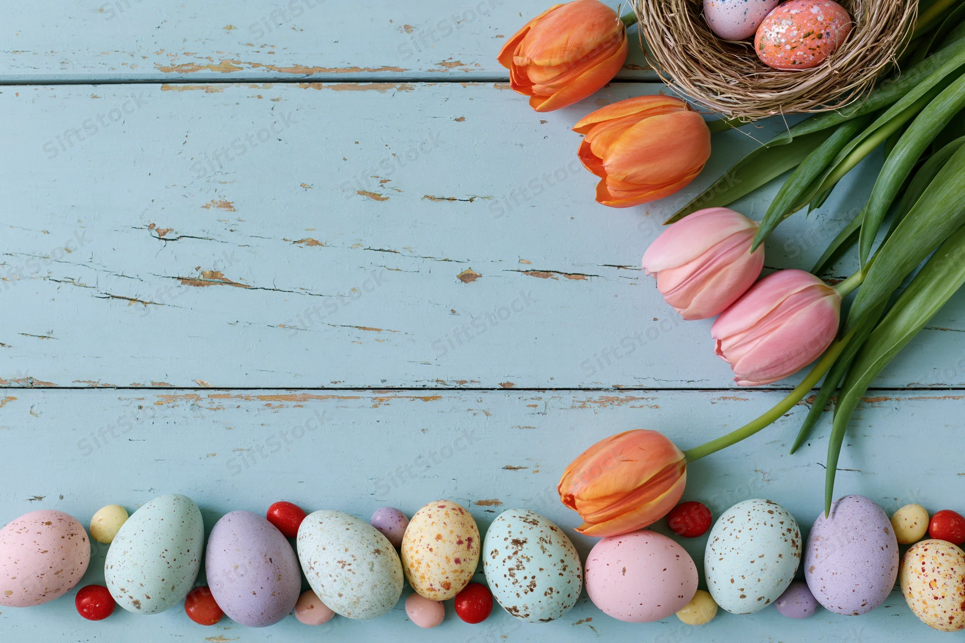 Pastel easter eggs and tulips arranged on a weathered blue wooden surface with copyspace