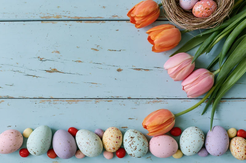 Pastel easter eggs and tulips arranged on a weathered blue wooden surface with copyspace