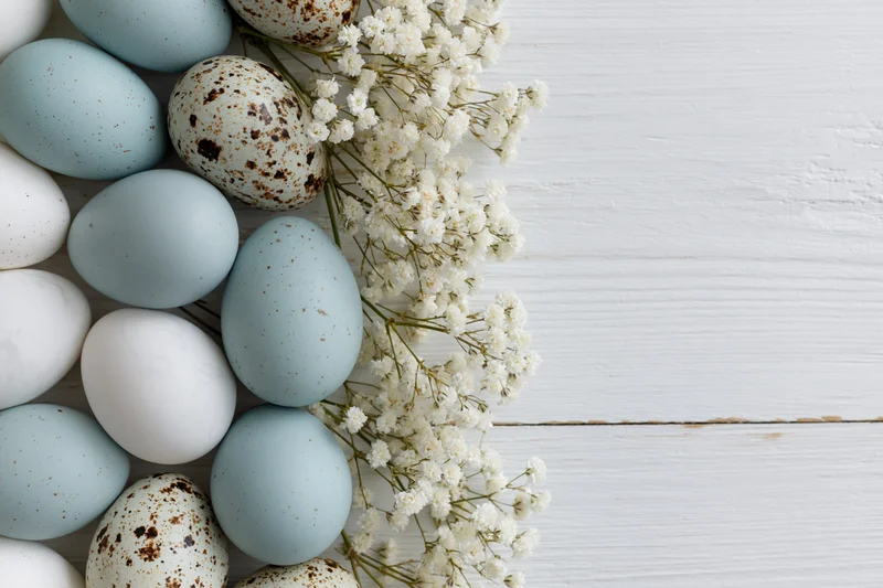 Easter eggs in pale blue white and speckled patterns arranged with baby's breath on a white wooden surface