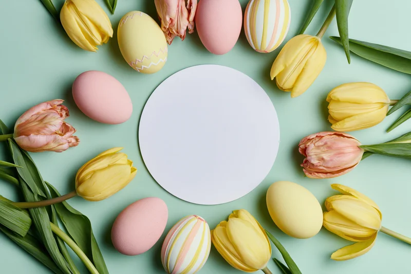 Easter flat lay with yellow and pink tulips and decorated eggs arranged around a white circular copyspace on a mint background
