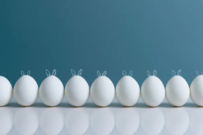 White eggs with bunny ears arranged in a row on a reflective surface