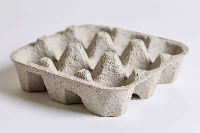 Empty recycled cardboard egg carton tray lying flat on white surface