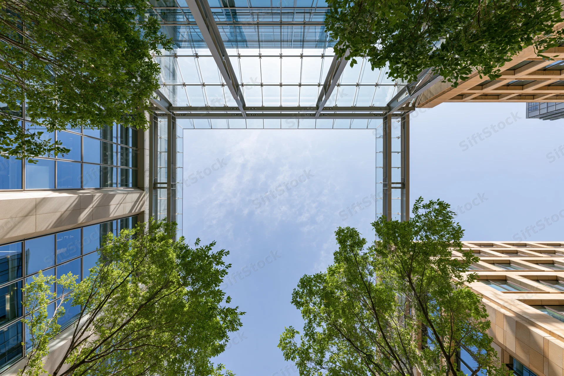 Upward view through glass canopy and trees in modern urban courtyard