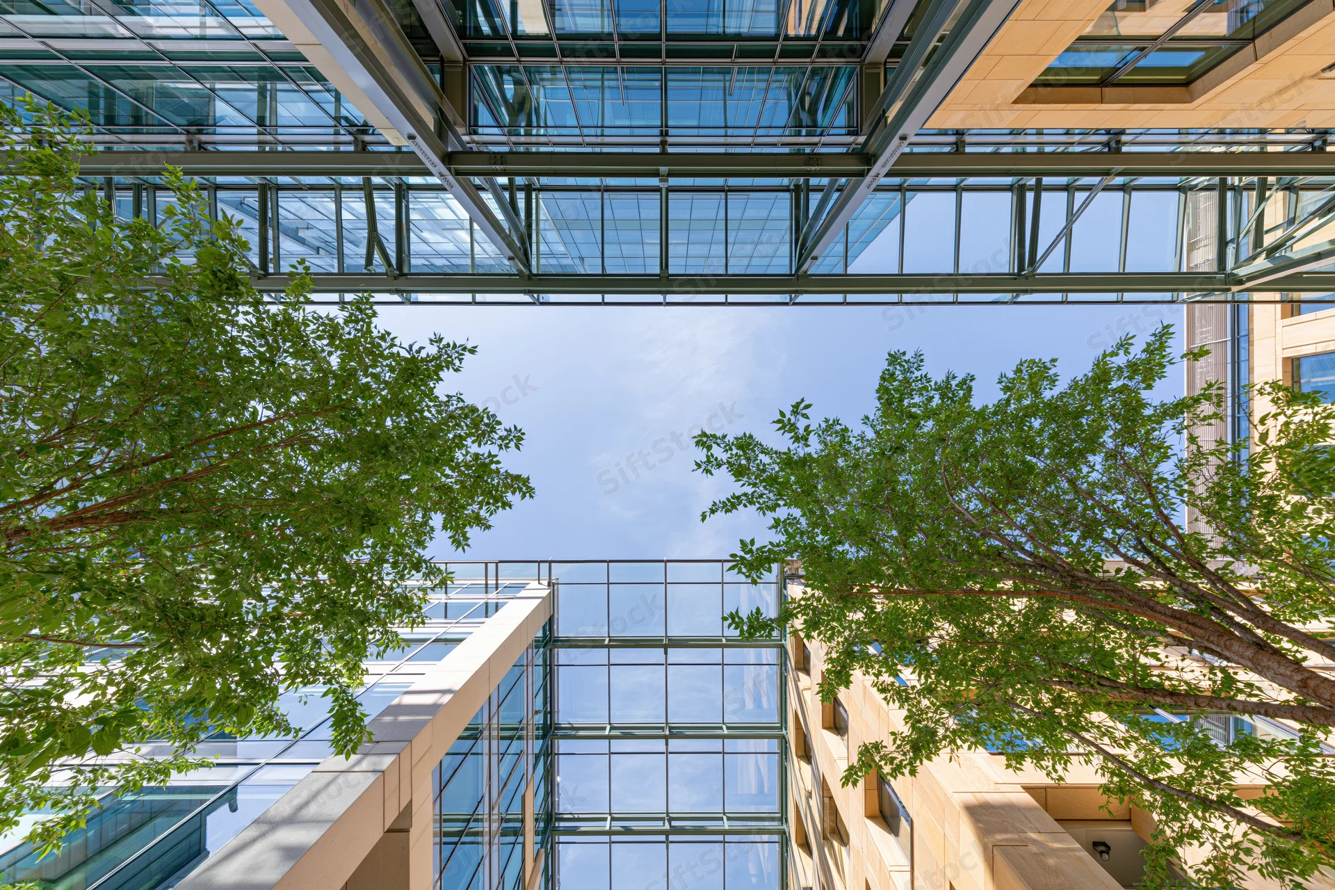 Upward view of a modern glass building courtyard with trees and sky visible through the open structure