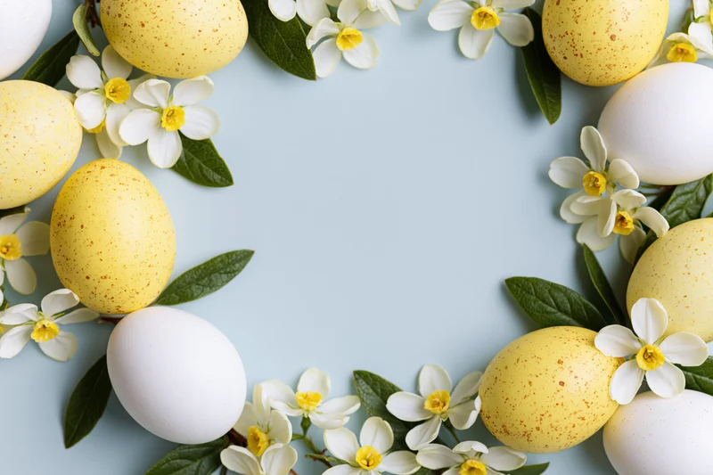 Easter eggs and white blossoms arranged in a flat lay frame on a light blue surface with copyspace