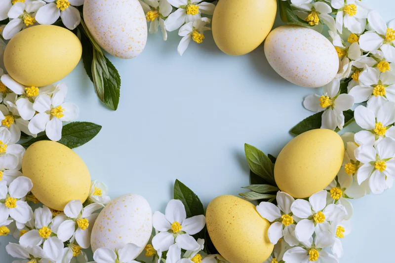 Easter eggs and white blossoms arranged in a frame on a light blue background with copyspace