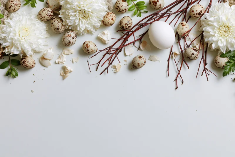 Easter border arrangement with quail eggs, white flowers, branches and broken shells along the top edge of a white surface