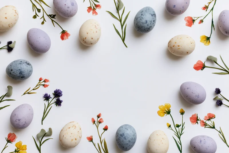 Easter eggs and watercolor wildflowers arranged in a flat lay border on white background with copyspace