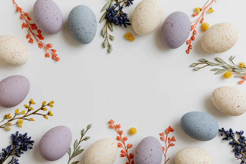 Easter eggs and wildflowers arranged in a flat lay border on white background with copyspace
