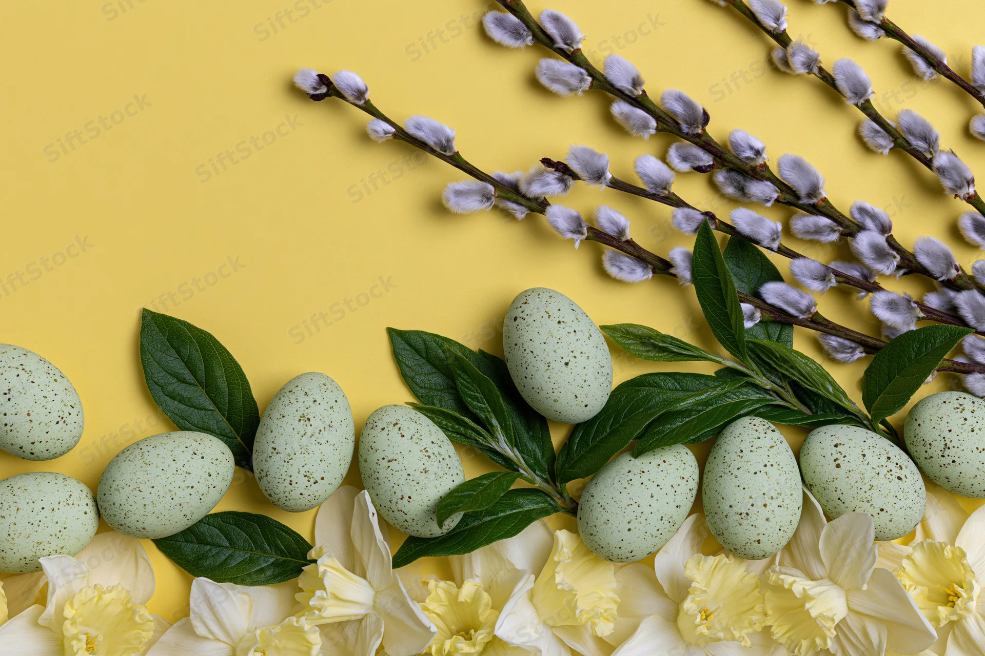 Pastel green speckled easter eggs arranged with willow branches and daffodils on yellow background