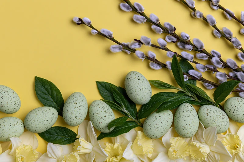 Pastel green speckled easter eggs arranged with willow branches and daffodils on yellow background