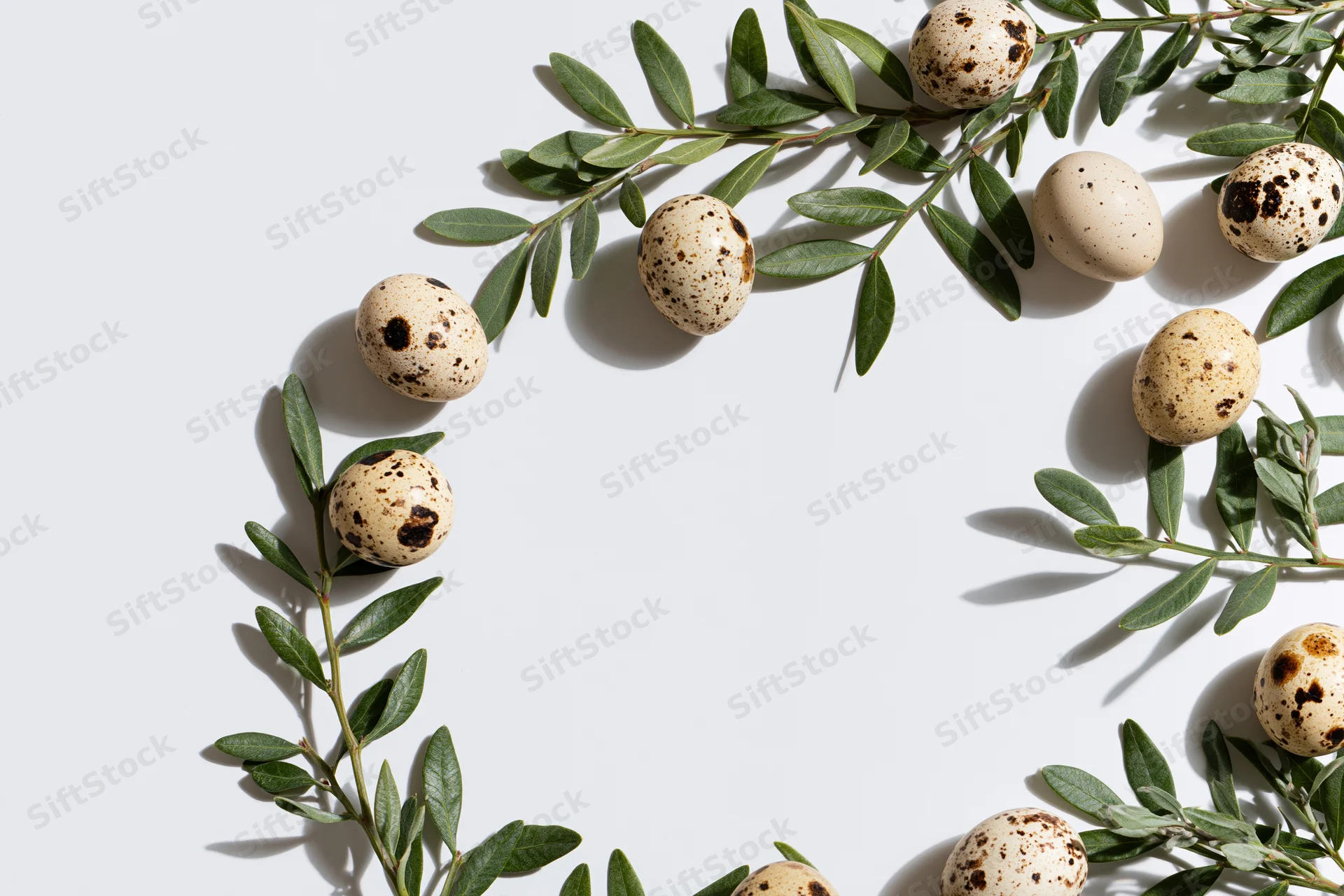 Speckled quail eggs and green leafy branches arranged in a flat lay frame on white background