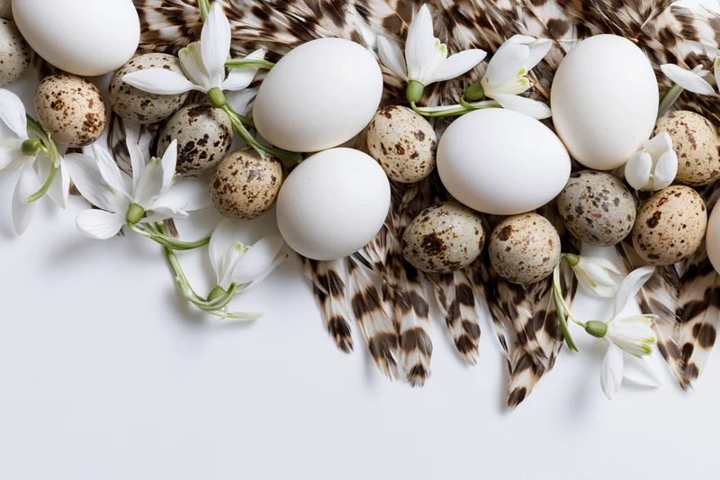 White and speckled eggs arranged with feathers and white flowers on a flat surface