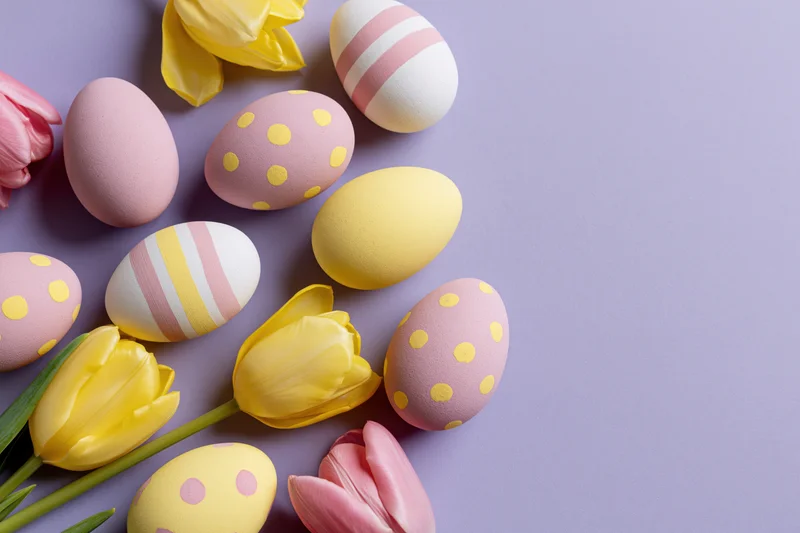 Easter eggs and tulips arranged in flat lay on purple background with copyspace