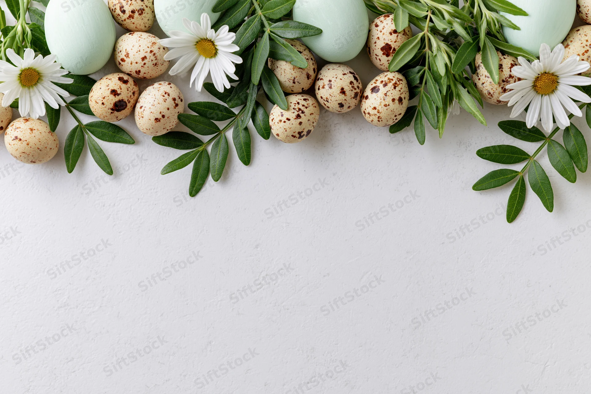 Flat lay of easter eggs and daisies with green leaves arranged along the top edge on a white surface