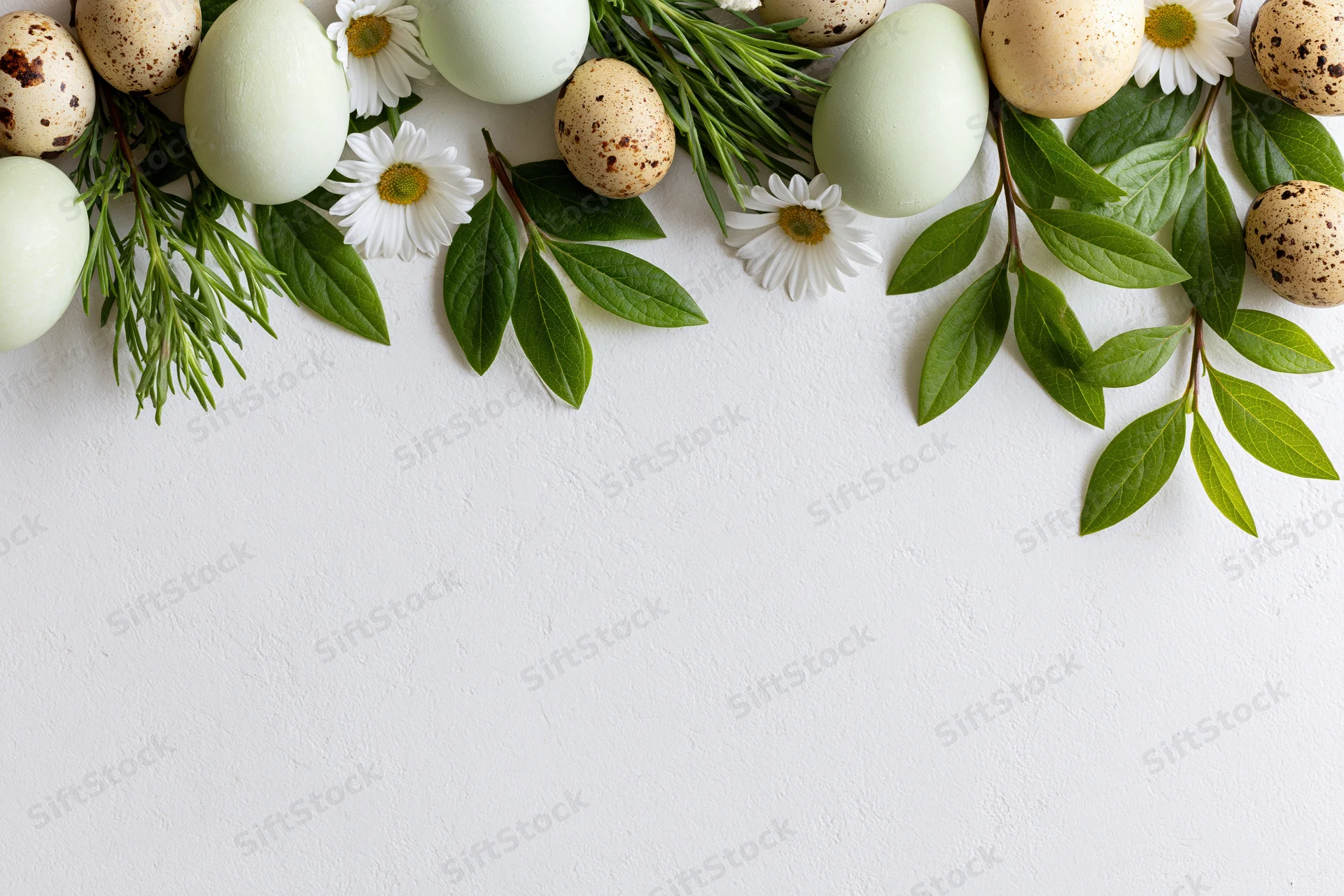 Easter eggs and quail eggs with white daisies and green foliage arranged in a flat lay on a white surface with copyspace
