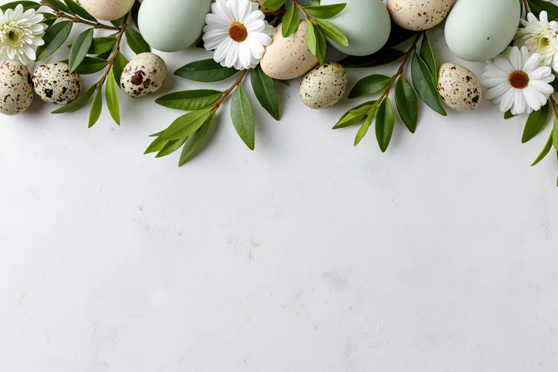 Flat lay of easter eggs and white daisies with green leaves arranged along top edge on white surface