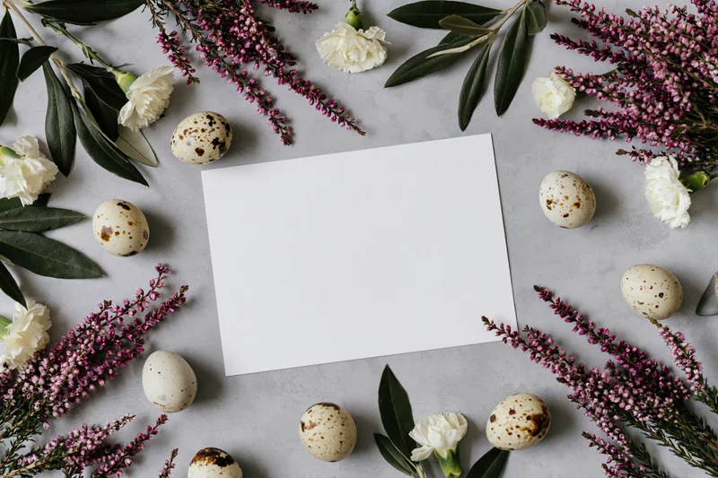 Blank white card centered on light grey surface surrounded by quail eggs, white carnations, purple heather, and olive leaves in flat lay arrangement