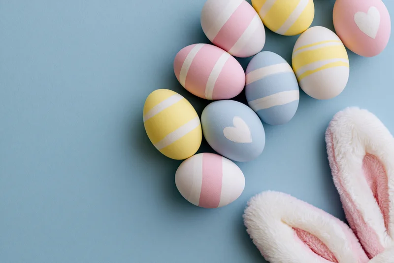 Decorated easter eggs in pastel colors arranged with plush bunny ears on blue surface