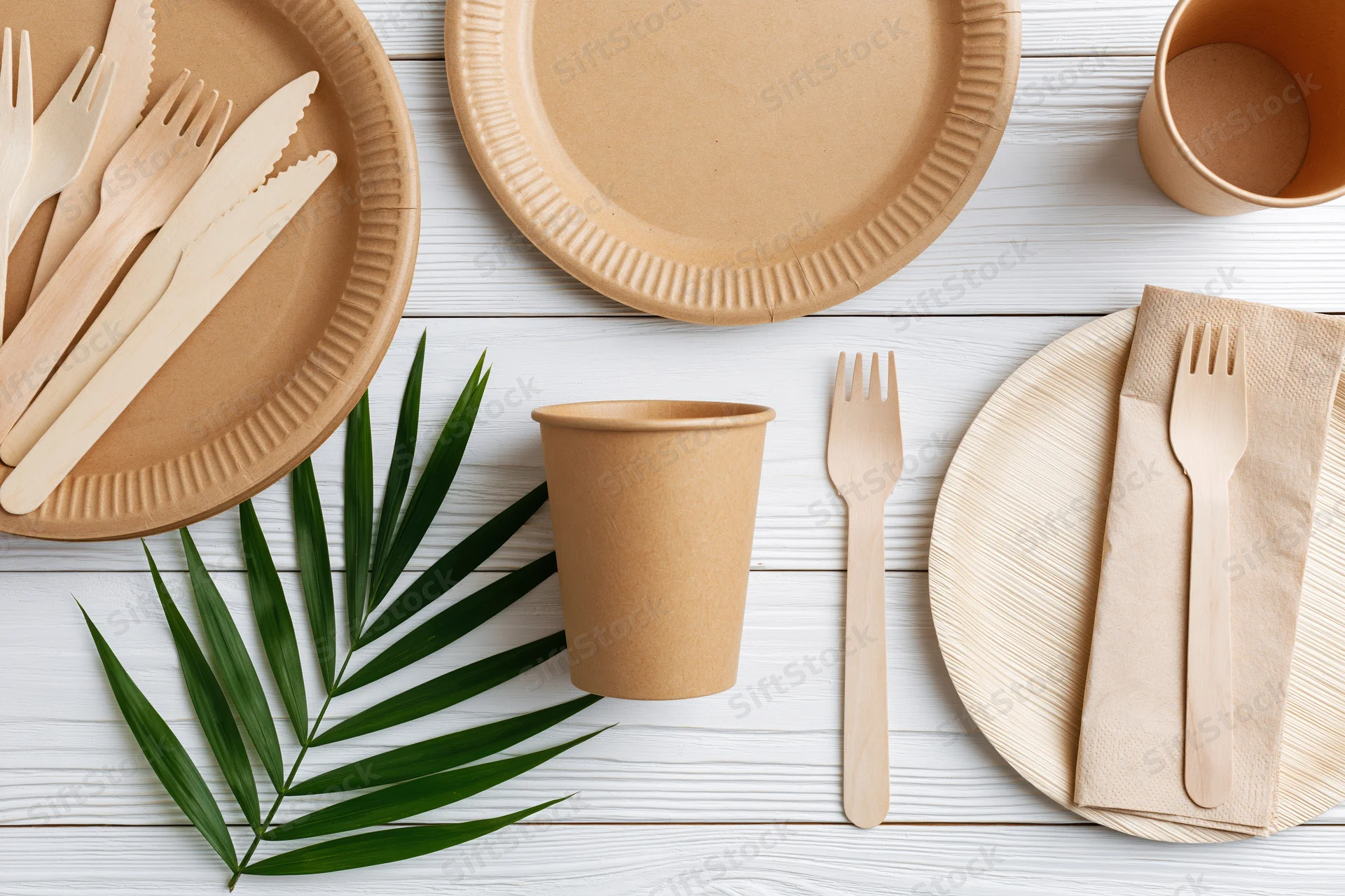 Eco-friendly disposable tableware arranged flat on white wooden surface with palm leaf and copyspace