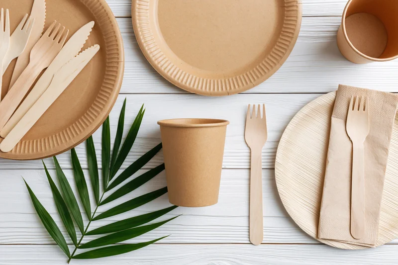 Eco-friendly disposable tableware arranged flat on white wooden surface with palm leaf and copyspace