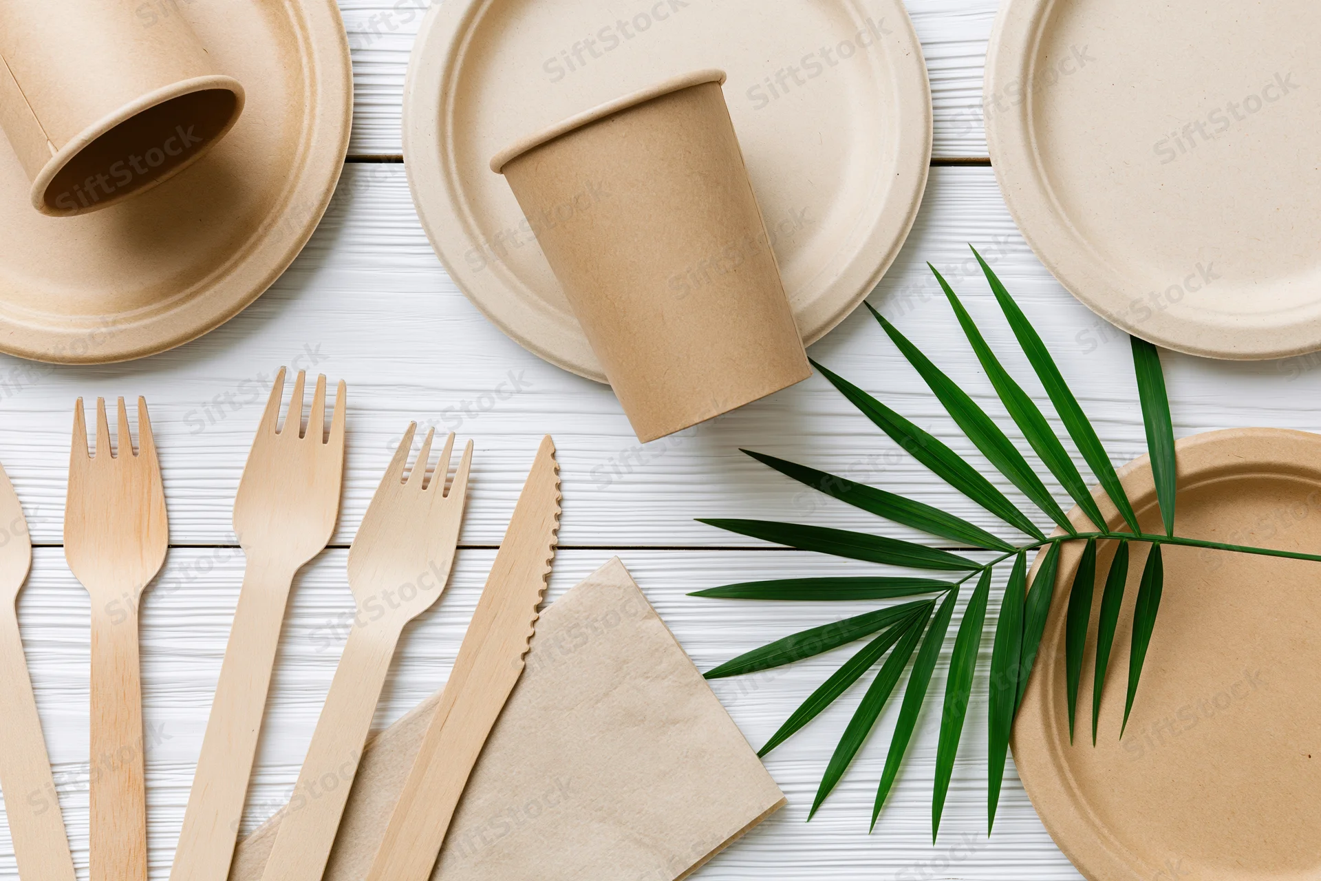 Eco-friendly disposable tableware arranged flat on white wooden surface with palm leaf and napkin