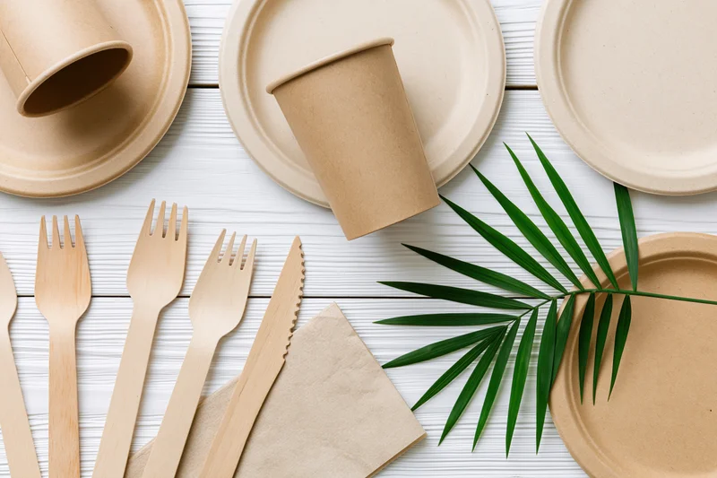 Eco-friendly disposable tableware arranged flat on white wooden surface with palm leaf and napkin