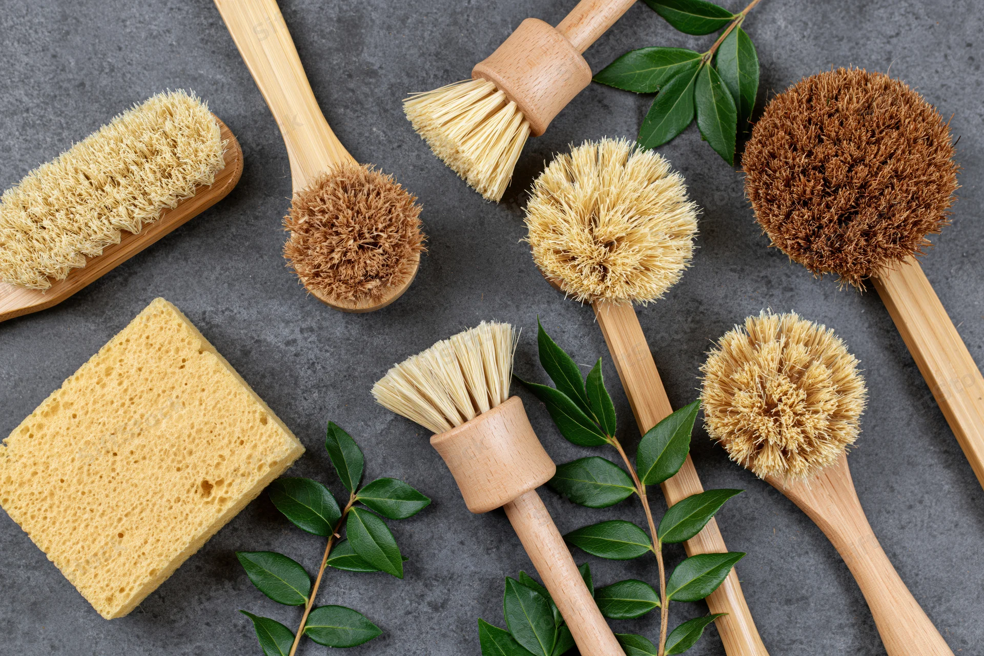 Wooden dish brushes with natural bristles and a sponge arranged in a flat lay on a gray surface with green leaves