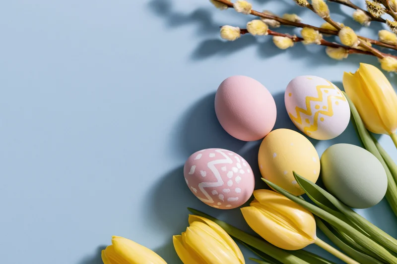 Hand-painted easter eggs and yellow tulips arranged in flat lay on blue background with willow branches and copyspace