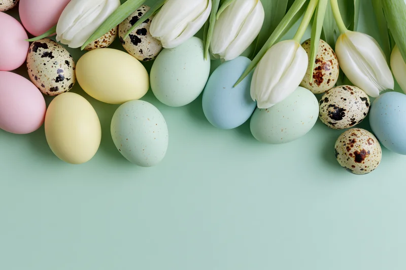 Pastel-colored easter eggs and white tulips arranged in a flat lay on a mint green background with copyspace
