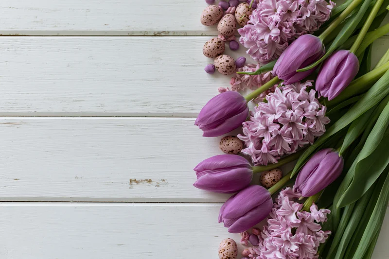 Purple tulips and pink hyacinths arranged with speckled easter eggs on white wooden surface