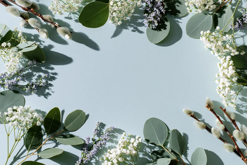 Scattered eucalyptus branches, small white gypsophila, and willow catkins arranged in a flat lay on a light blue surface with copyspace in the center