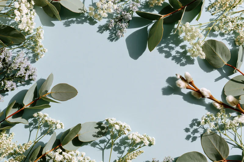 Scattered eucalyptus branches and small white gypsophila flowers arranged in a flat lay on a light blue background with copyspace in the center