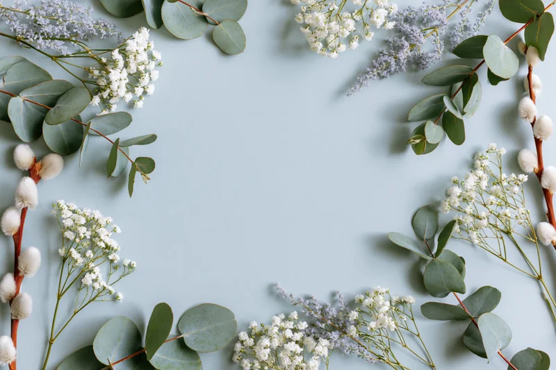 Scattered eucalyptus branches and small white gypsophila flowers arranged in a flat lay frame on a light blue background with copyspace