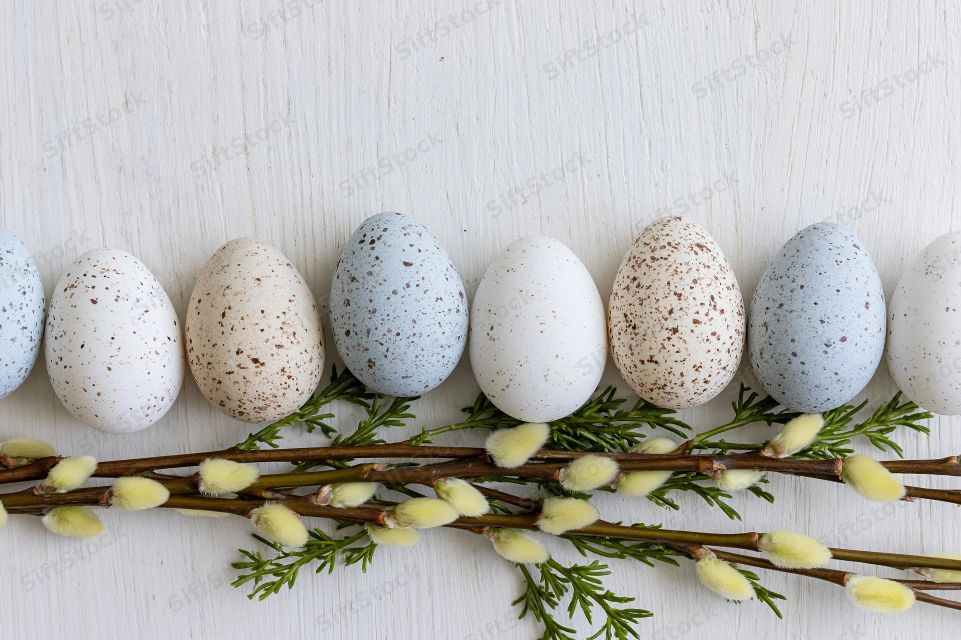 Speckled easter eggs arranged in a row on a white wooden surface with willow branches and catkins below