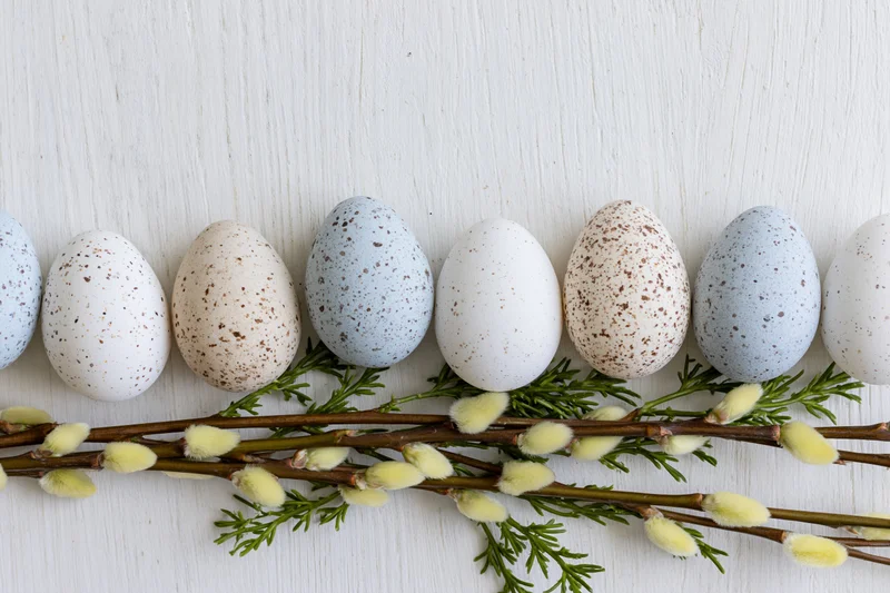 Speckled easter eggs arranged in a row on a white wooden surface with willow branches and catkins below
