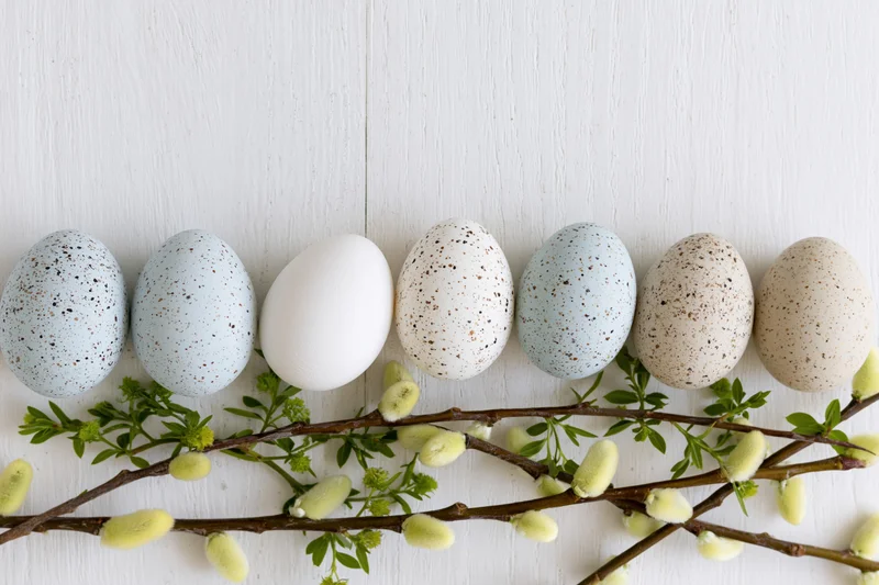 Speckled easter eggs arranged in a row with willow branches on a white wooden surface